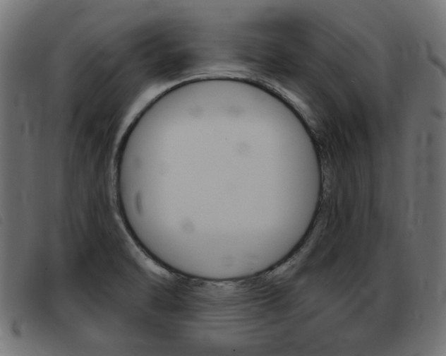 X0000093421470200710120846