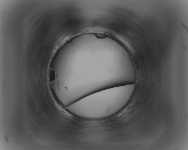 X0000093421471200710120846