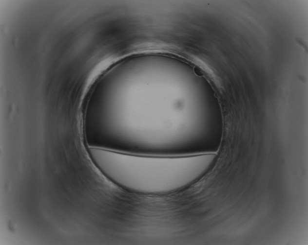 X0000093421472200710120846