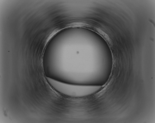 X0000093421473200710120846