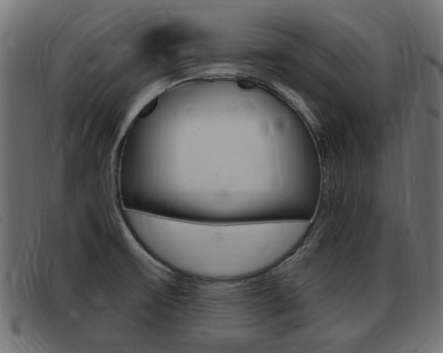 X0000093421475200710120846