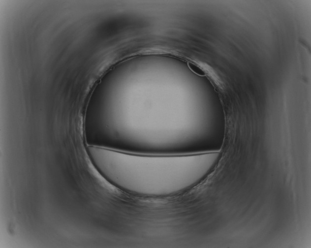 X0000093421476200710120846