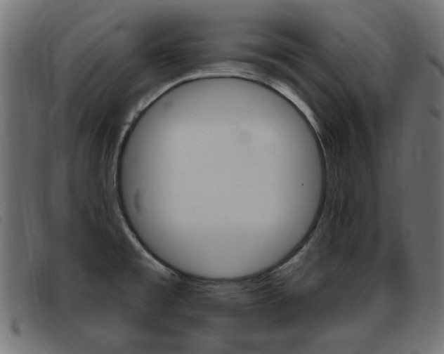 X0000093421477200710120846