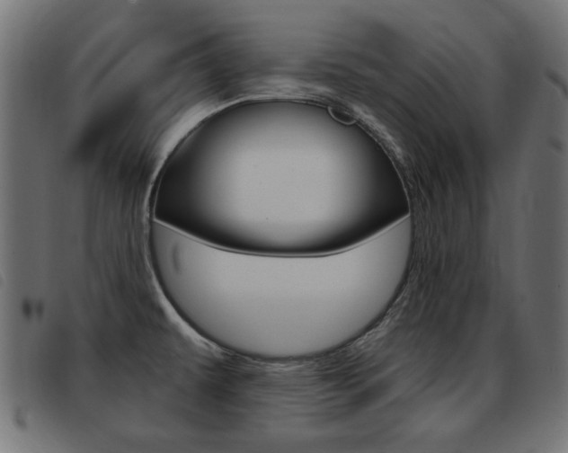 X0000093421479200710120846