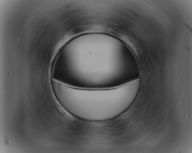X0000093421480200710120846