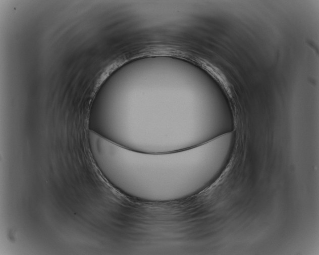 X0000093421481200710120846