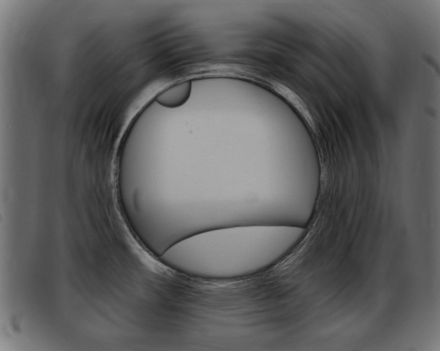 X0000093421482200710120846