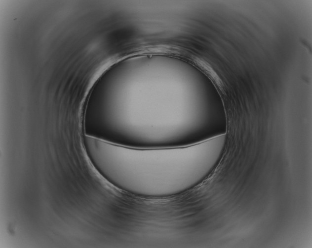 X0000093421483200710120846