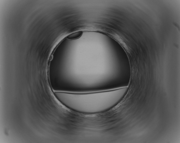 X0000093421484200710120846