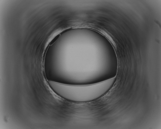 X0000093421485200710120846