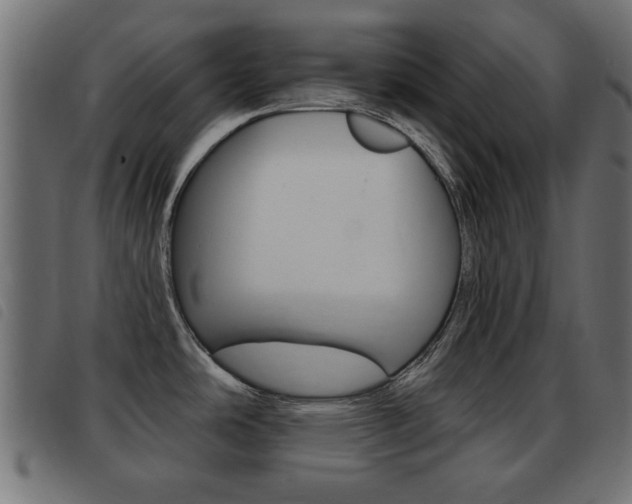 X0000093421486200710120846
