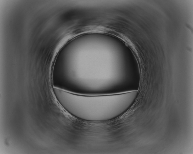 X0000093421488200710120846