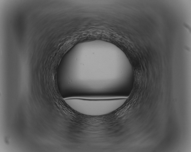 X0000093421489200710120845