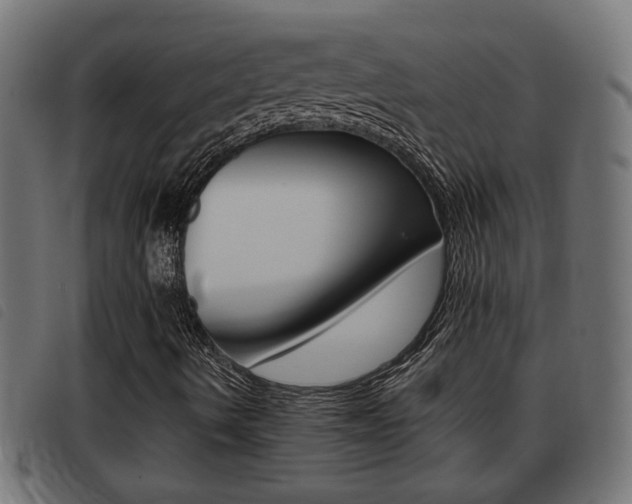 X0000093421490200710120845