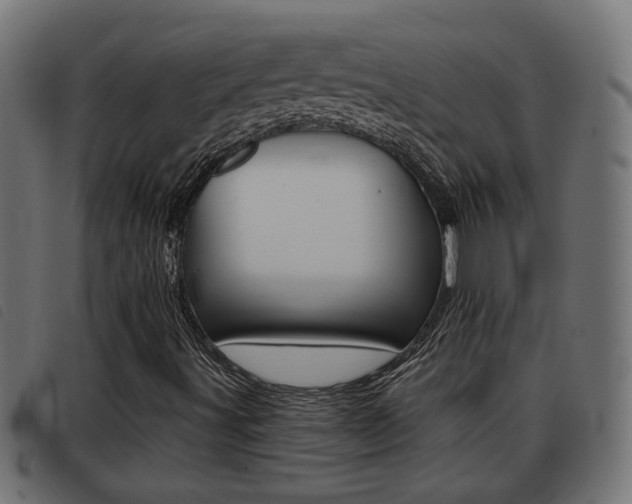 X0000093421491200710120845