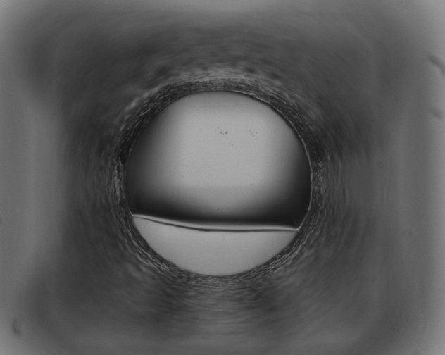 X0000093421493200710120845