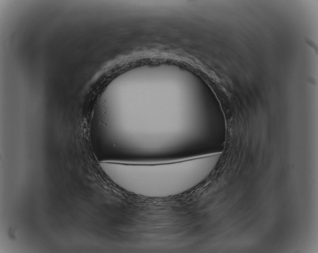 X0000093421495200710120845