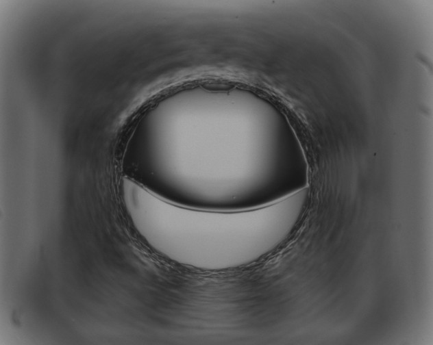 X0000093421496200710120845
