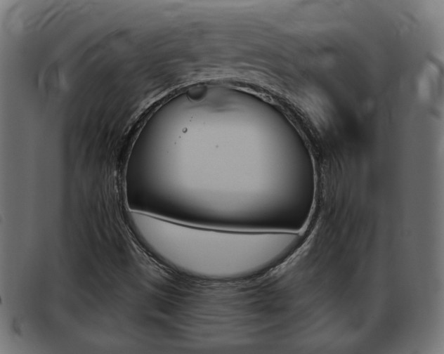 X0000093421497200710120845