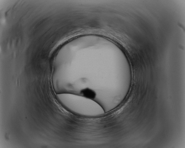 X0000093421498200710120845