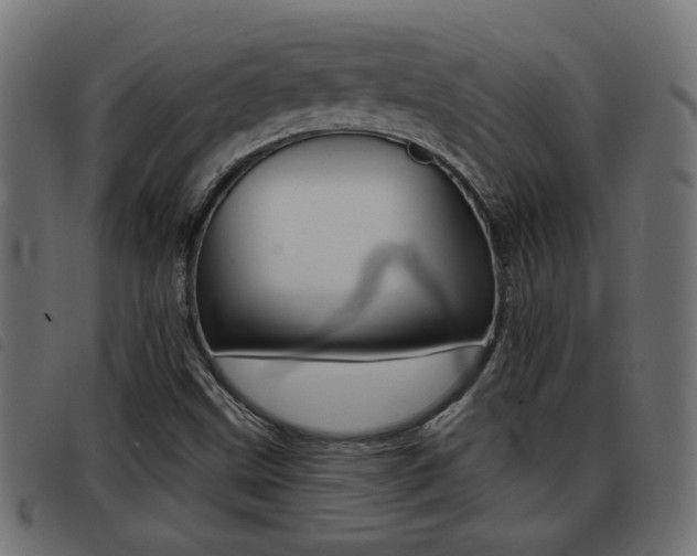 X0000093421499200710120845