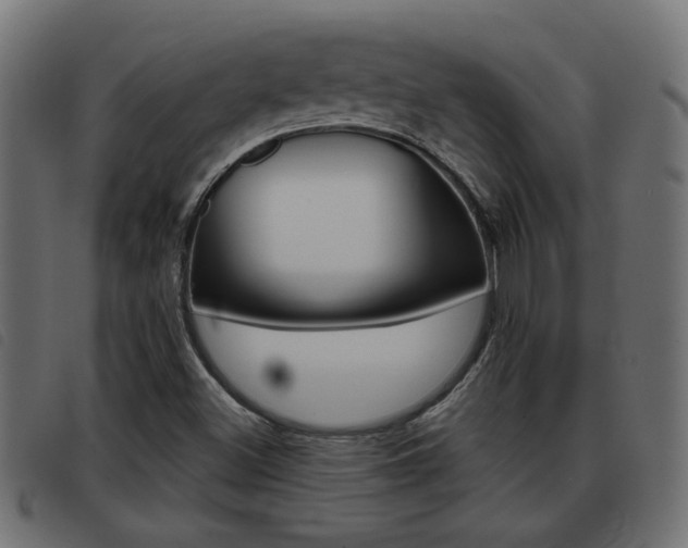 X0000093421500200710120845