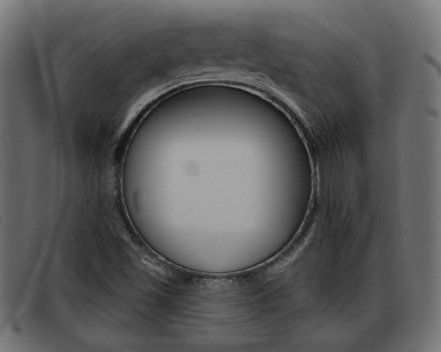 X0000093421501200710120846