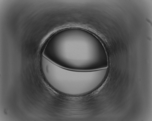 X0000093421502200710120846