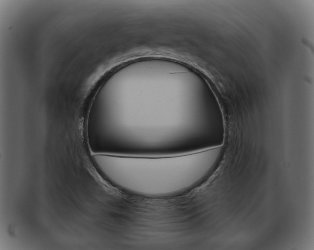 X0000093421503200710120846