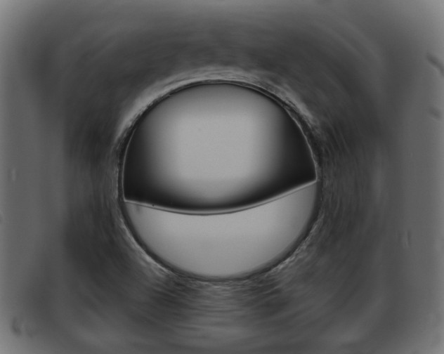 X0000093421504200710120846