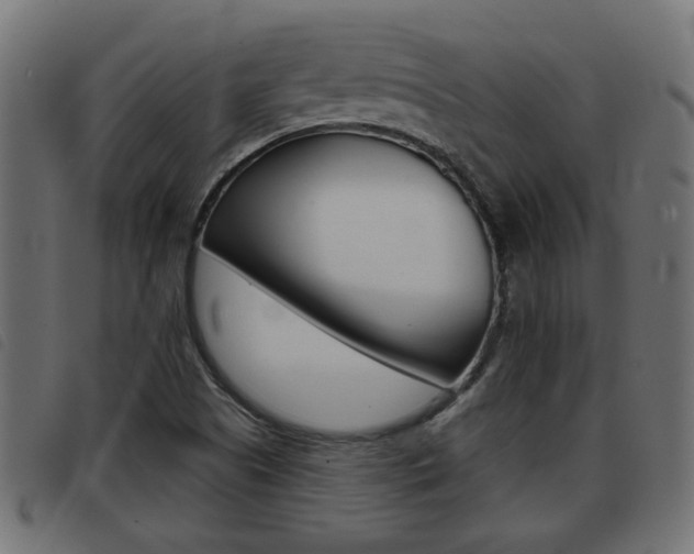 X0000093421505200710120846