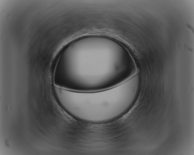 X0000093421506200710120846