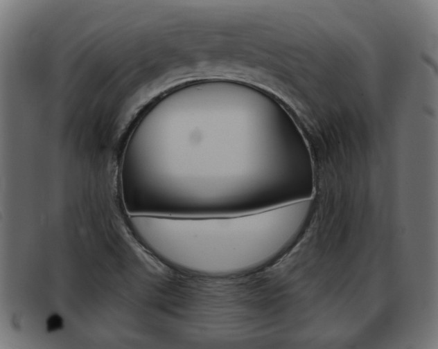 X0000093421507200710120846