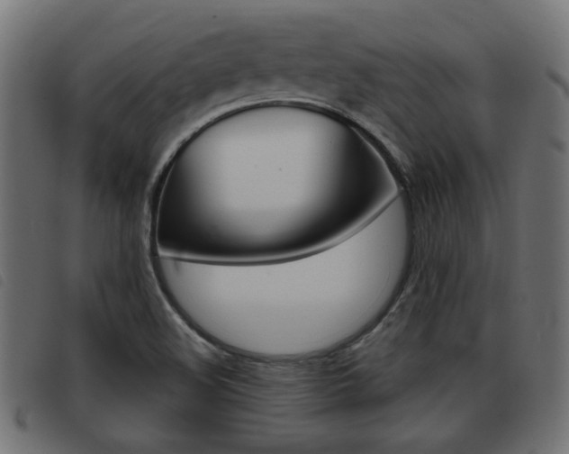 X0000093421508200710120846
