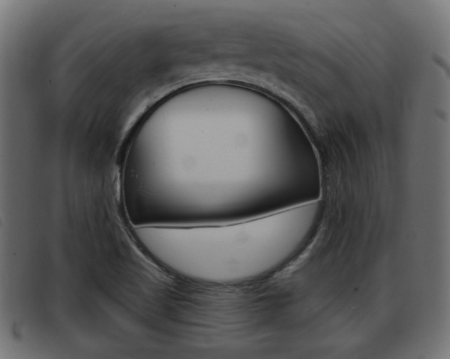 X0000093421509200710120846