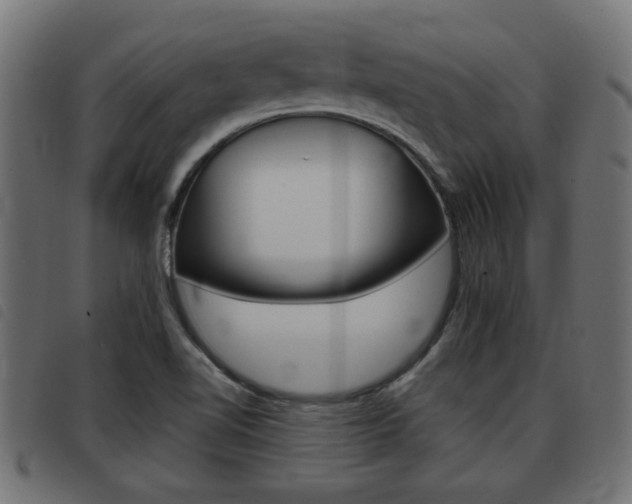X0000093421510200710120846