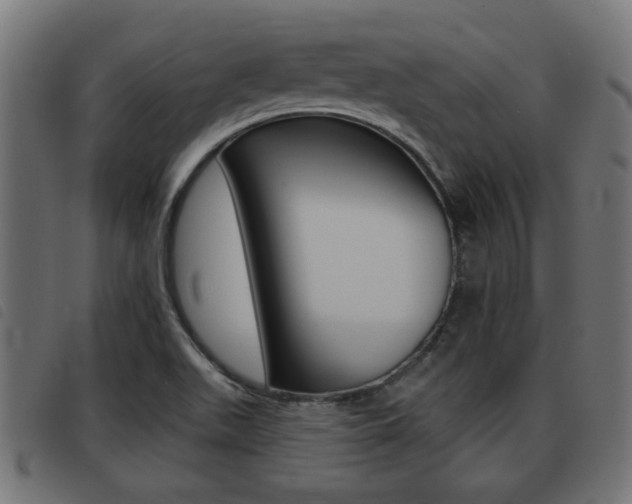 X0000093421511200710120846