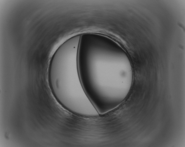X0000093421512200710120846