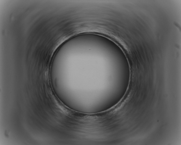 X0000093421513200710120846