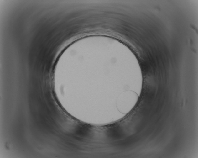 X0000093421514200710120846