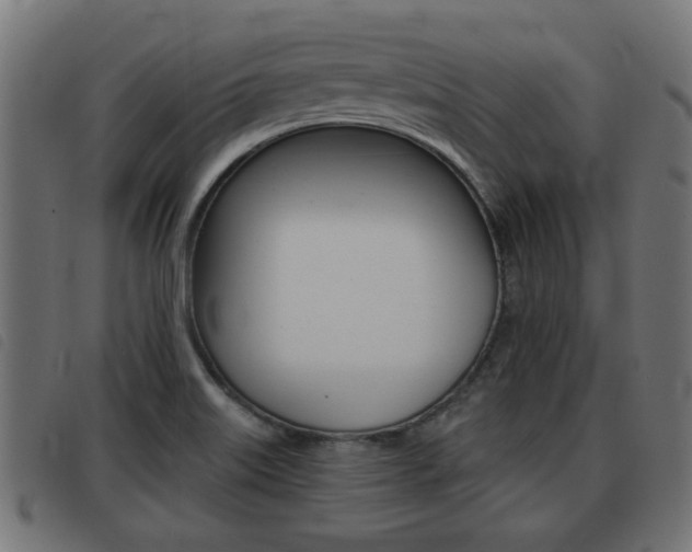 X0000093421515200710120846