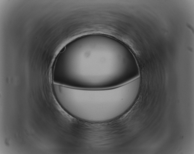 X0000093421516200710120846