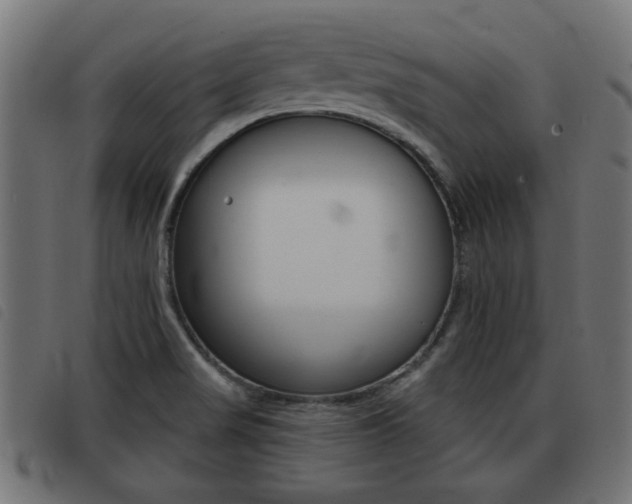 X0000093421517200710120846