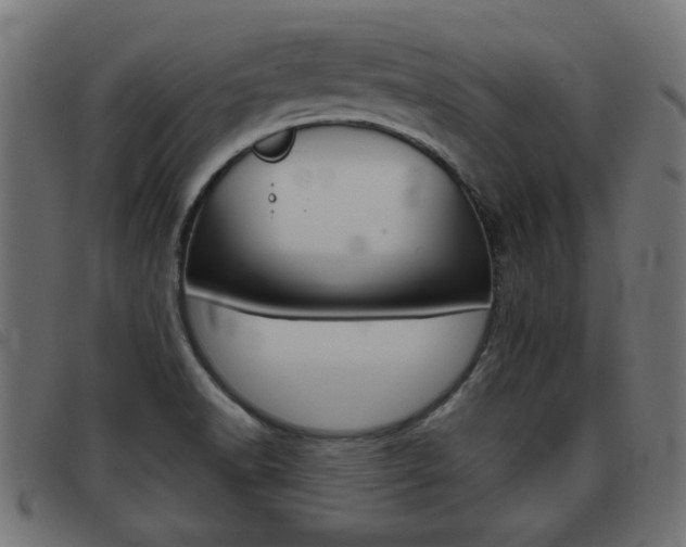 X0000093421518200710120846