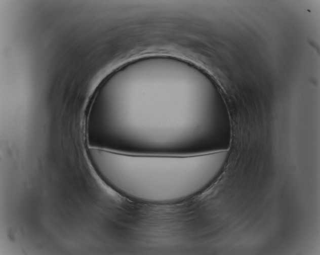 X0000093421519200710120846