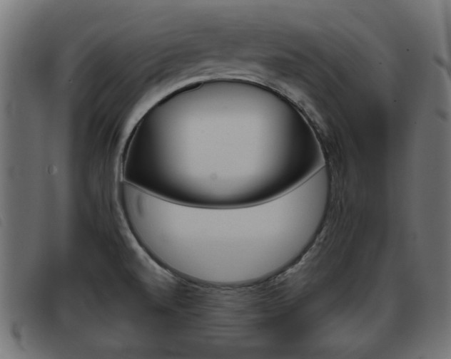 X0000093421520200710120846