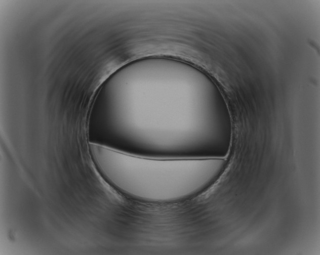X0000093421521200710120846