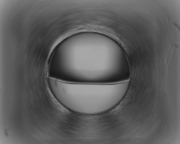 X0000093421522200710120846