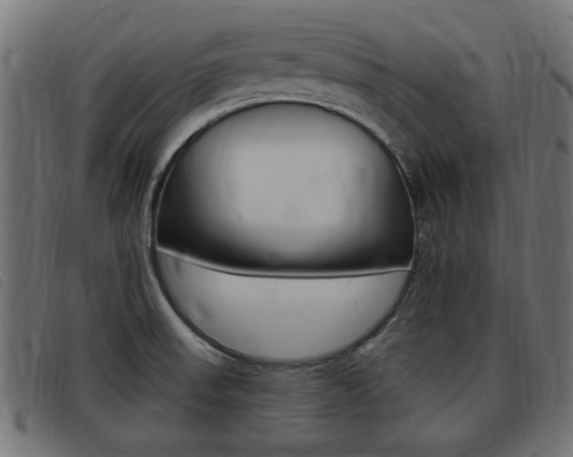 X0000093421523200710120846
