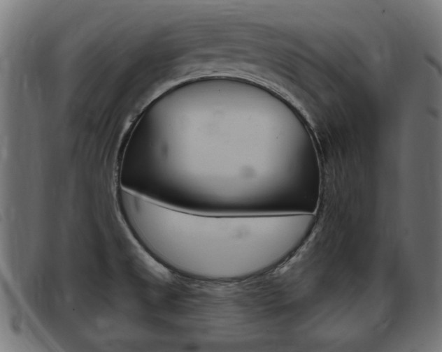 X0000093421525200710120846